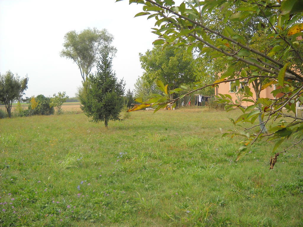 Agriturismo Campi Di Grano Roncade Eksteriør billede