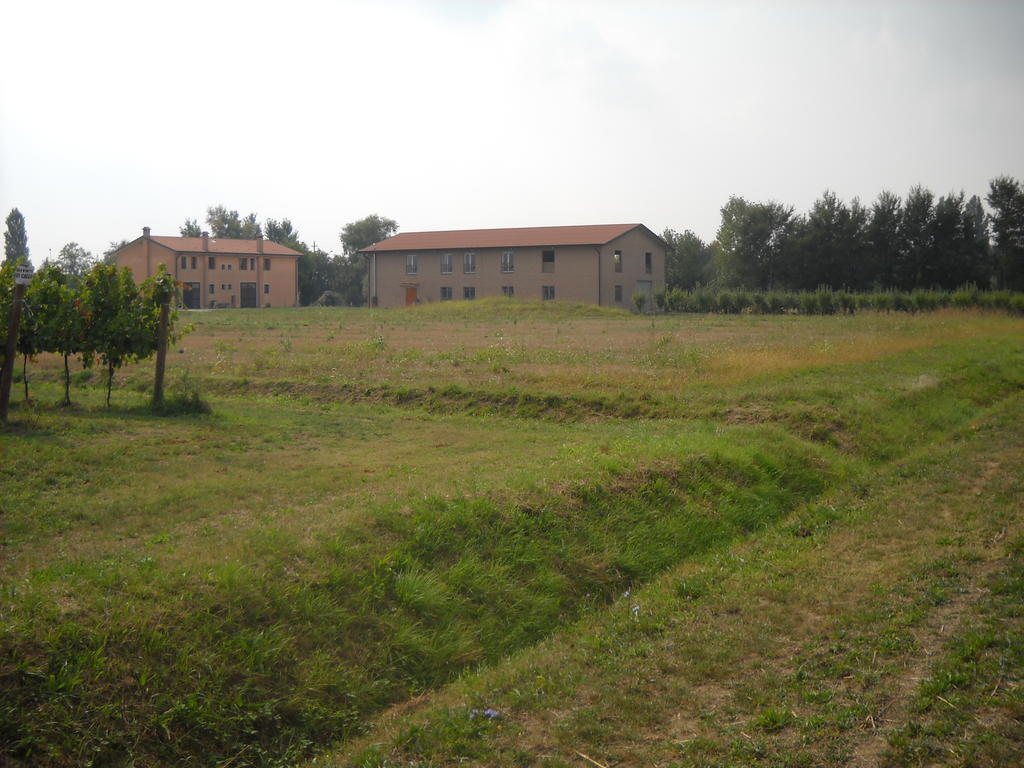 Agriturismo Campi Di Grano Roncade Eksteriør billede